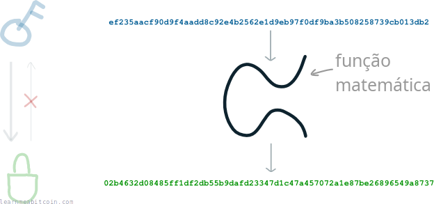 Diagrama mostrando uma chave privada passando por uma função matemática para produzir uma chave pública.