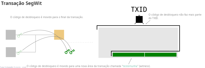 Diagrama mostrando a posição das assinaturas em uma transação segwit e o TXID sendo criado a partir de todos os dados da transação exceto as assinaturas.