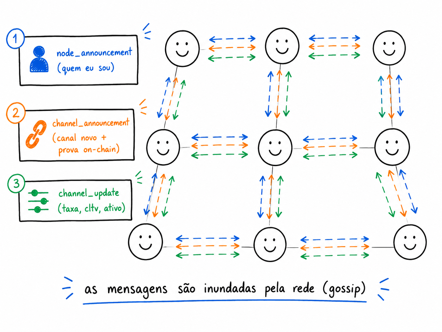 As três mensagens do gossip (node_announcement, channel_announcement, channel_update) sendo inundadas entre os nós da rede.