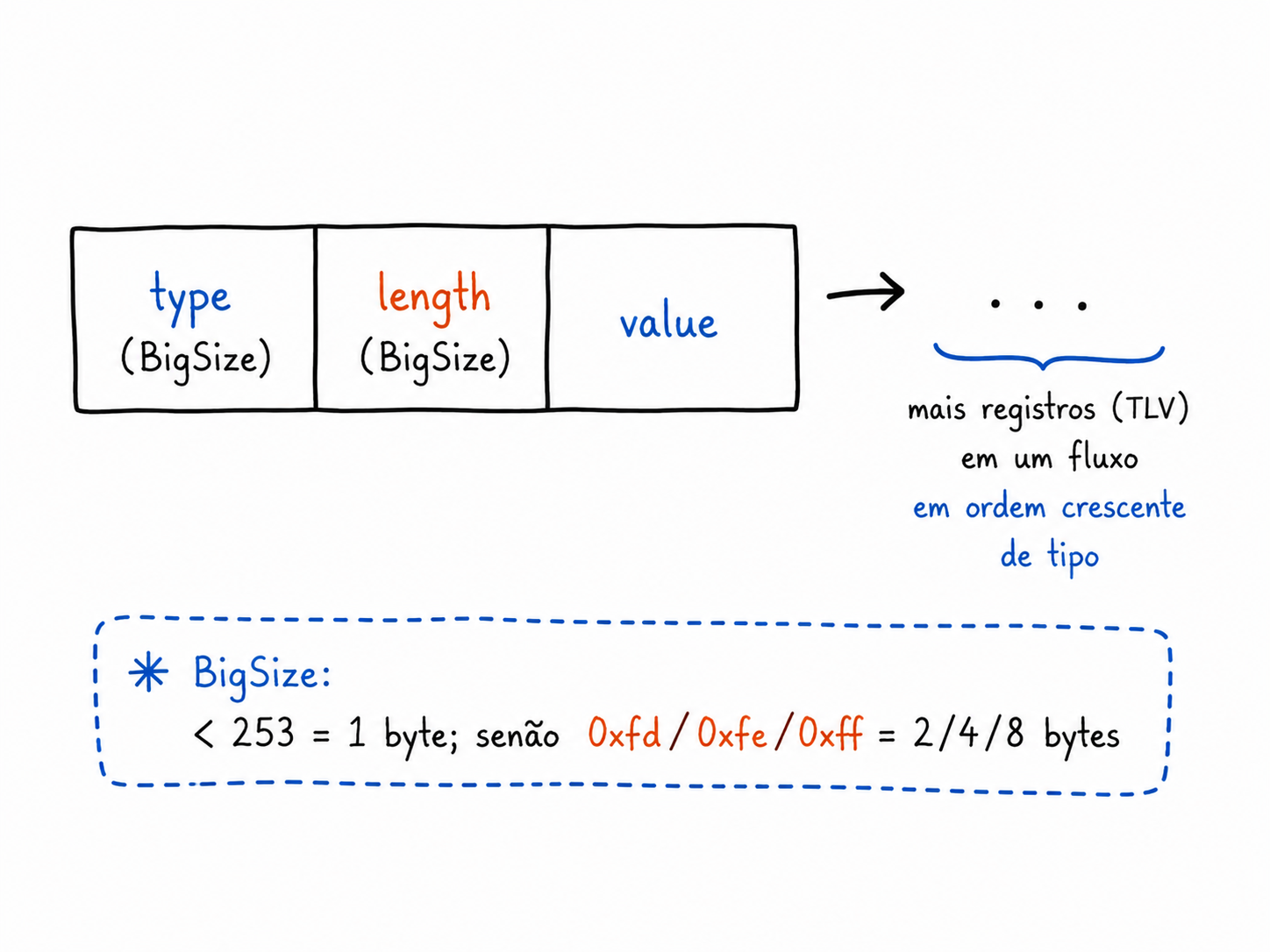 Um registro TLV: type, length e value (com type e length em BigSize), formando um stream ordenado por tipo.