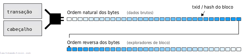 Diagrama mostrando a ordem natural dos bytes saindo de uma função de hash, e a ordem inversa abaixo.