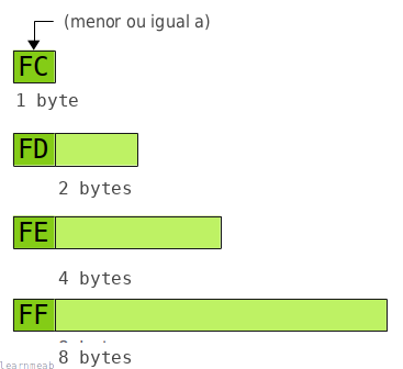 Diagrama mostrando os prefixos usados para campos compact size e os tamanhos de campo correspondentes.