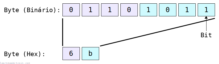 Diagrama mostrando 8 bits individuais formando um único byte hexadecimal.