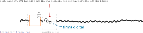 Diagrama que muestra una firma digital siendo creada a partir de una clave privada y colocada en un script de desbloqueo.