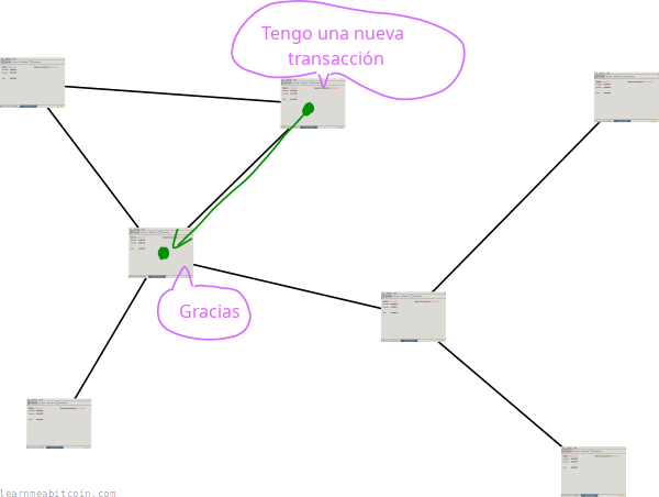 Diagrama que muestra a los ordenadores de la red bitcoin compartiendo información sobre nuevas transacciones.