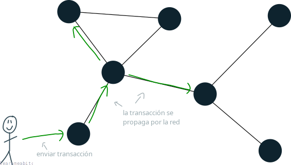 Diagrama que muestra una transacción siendo insertada en un único nodo y propagándose por toda la red bitcoin.