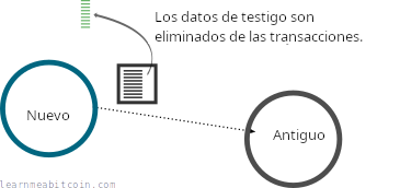 Diagrama que muestra un nodo antiguo no recibiendo los datos de testigo de transacciones segwit cuando está conectado a un nodo actualizado.