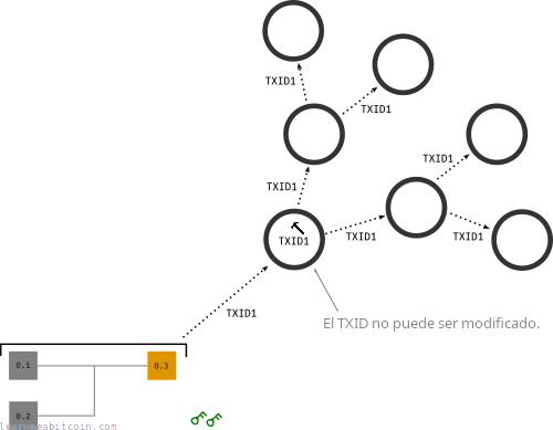 Diagrama que muestra el TXID de una transacción segwit permaneciendo igual después de ser enviada a la red bitcoin.