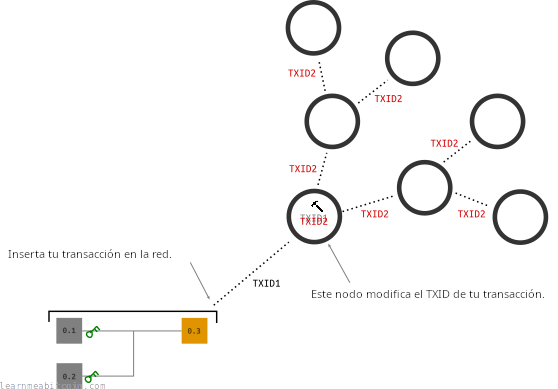 Diagrama que muestra el TXID de una transacción legada siendo modificado después de enviarse a la red bitcoin.