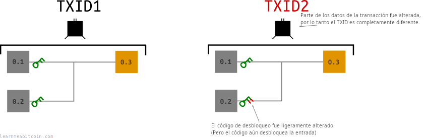 Diagrama que muestra el TXID de una transacción legada siendo alterado al modificar las firmas dentro de los datos de la transacción.