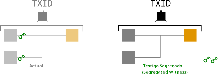 Diagrama que destaca cómo el código de desbloqueo ya no se incluye como parte del TXID en una transacción segwit.