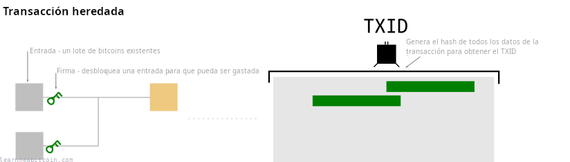 Diagrama que muestra la posición de las firmas en una transacción legada y el TXID siendo creado a partir de todos los datos de la transacción.