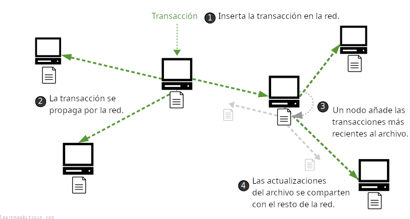 Diagrama que muestra una transacción siendo retransmitida por las computadoras de una red antes de añadirse al archivo compartido (la blockchain).