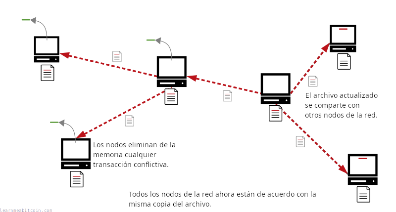Diagrama que muestra a los nodos de la red aceptando la versión actualizada del archivo y eliminando la transacción en conflicto de su memoria.