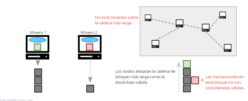 Diagrama que muestra a los nodos adoptando la cadena de bloques más larga como su blockchain, y cualquier transacción que no esté en la cadena más larga como inválida.