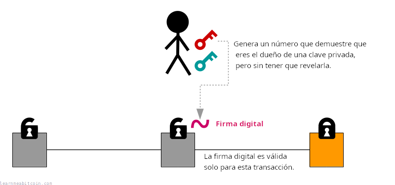 Diagrama que muestra una clave privada siendo usada para crear una firma digital, que luego se usa para desbloquear una salida en una transacción.