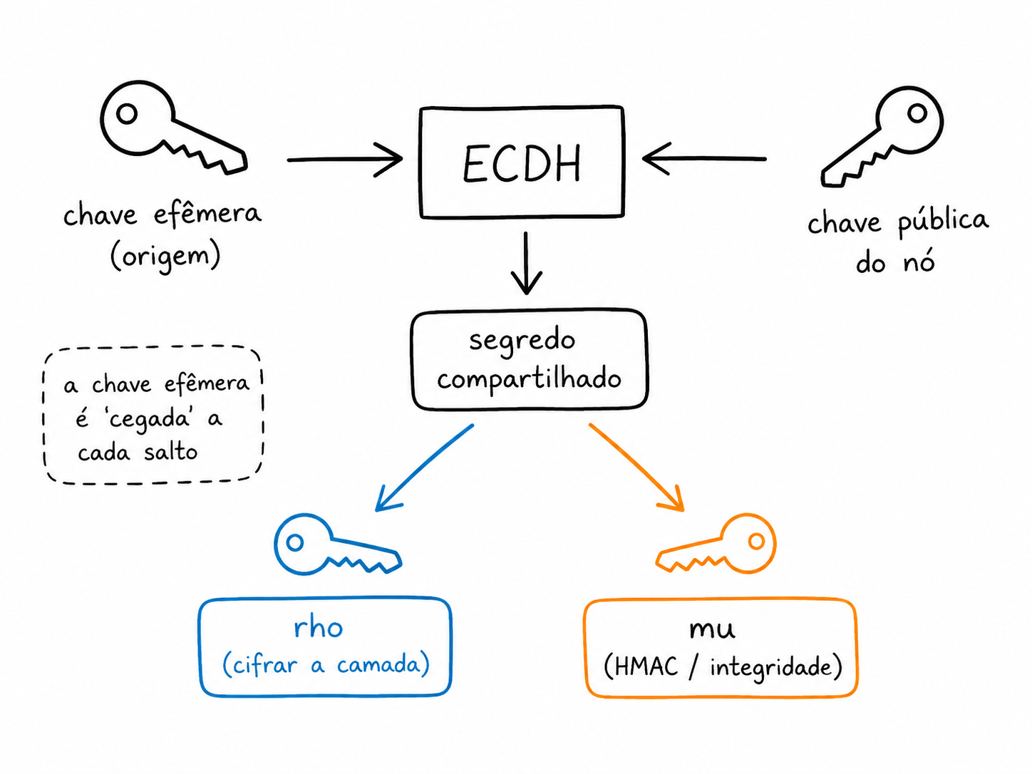 Derivación del secreto compartido: la clave efímera de la origen combinada por ECDH con la clave pública de cada nodo genera un secreto, del cual salen las claves de cifrado (rho) y de HMAC (mu).