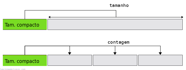 Diagrama que muestra cómo el campo compact size indica el tamaño o el conteo de elementos que vienen después.