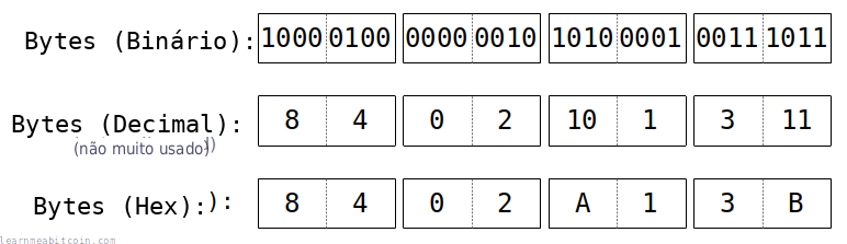 Diagrama que muestra bytes de datos representados en binario, decimal y hexadecimal.