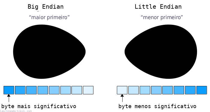 Diagrama que muestra el extremo pequeño y el extremo grande de unos huevos.