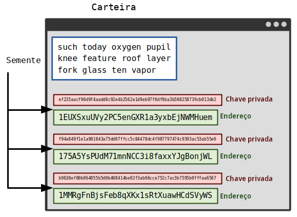 Diagrama mostrando uma semente como a fonte de todas as chaves privadas e endereços de uma carteira.