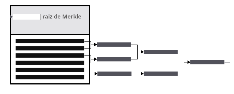 Diagrama mostrando uma raiz merkle sendo criada ao hashear TXIDs juntos em pares e depois sendo comprometida no cabeçalho do bloco.