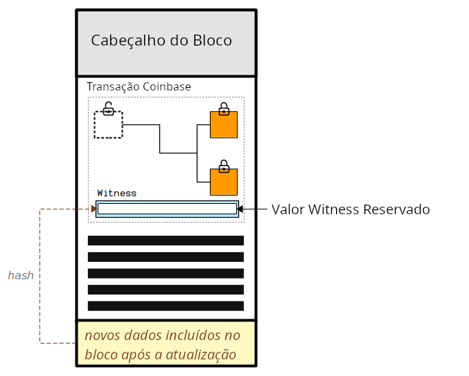 Diagrama mostrando novos dados sendo comprometidos ao bloco por meio do valor reservado de testemunha no campo de testemunha de uma transação coinbase.