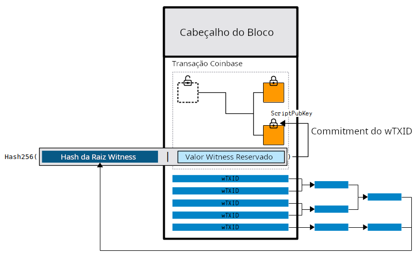 Diagrama mostrando os dados segwit sendo comprometidos ao bloco por meio do compromisso de wTXID no scriptpubkey da transação coinbase.