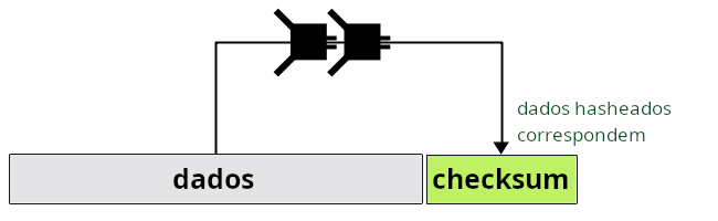 Diagrama mostrando alguns dados com um checksum válido.