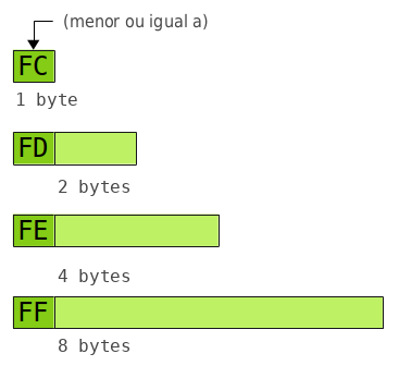 Diagrama mostrando os prefixos usados para campos compact size e os tamanhos de campo correspondentes.