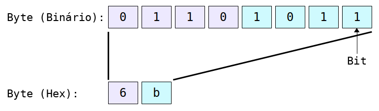 Diagrama mostrando 8 bits individuais formando um único byte hexadecimal.