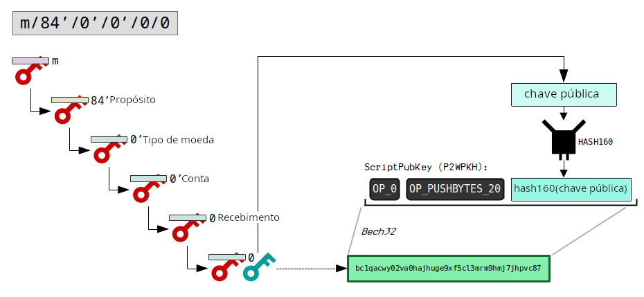 Diagrama mostrando o caminho de derivação para uma carteira BIP 84.