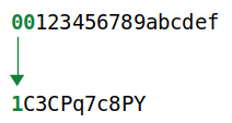 Diagrama mostrando bytes zero à esquerda em hexadecimal sendo convertidos para um 1 em base58.
