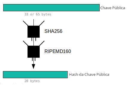 Diagrama mostrando uma chave pública sendo encurtada ao hasheá-la.