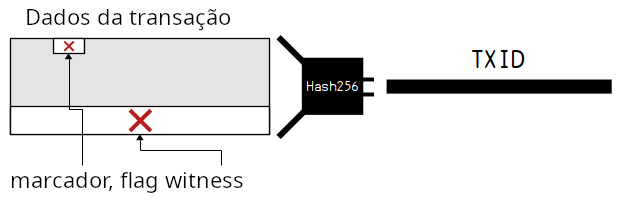 Diagrama mostrando como um TXID é construído a partir dos dados brutos da transação (sem incluir os dados de testemunha).