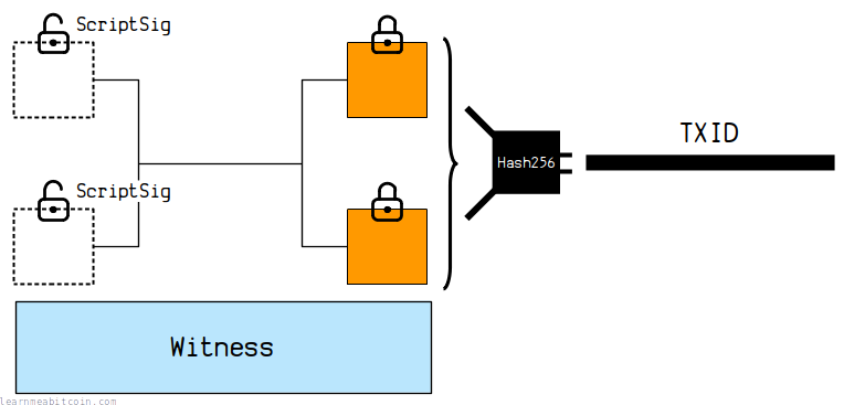 Diagrama mostrando o TXID sendo calculado a partir dos dados brutos da transação, excluindo o marker, o flag e a testemunha.