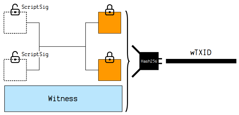 Diagrama mostrando o wTXID sendo calculado a partir dos dados brutos da transação, incluindo o marker, o flag e a testemunha.