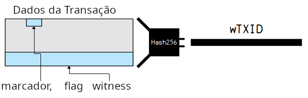 Diagrama mostrando como um wTXID (Witness TXID) é construído a partir dos dados brutos da transação (incluindo os dados de testemunha).
