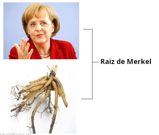 Angela Merkel Root (trocadilho com 'Merkle root').