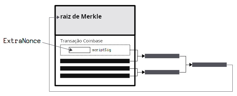 O ExtraNonce fica localizado dentro do scriptSig de uma transação coinbase.