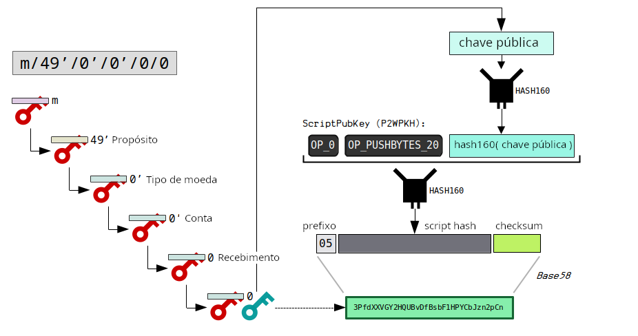 Diagrama mostrando o caminho de derivação para uma carteira BIP 49.