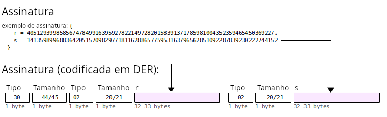 Diagrama mostrando a codificação de uma assinatura ECDSA para uso em transações Bitcoin.