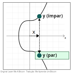 Diagrama mostrando um ponto de chave pública com duas coordenadas y possíveis (uma par, uma ímpar) para cada coordenada x.