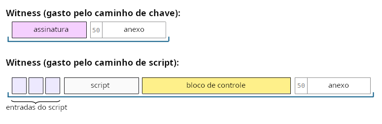 Diagrama mostrando a localização do anexo no testemunha de um gasto por caminho de chave e de um gasto por caminho de script