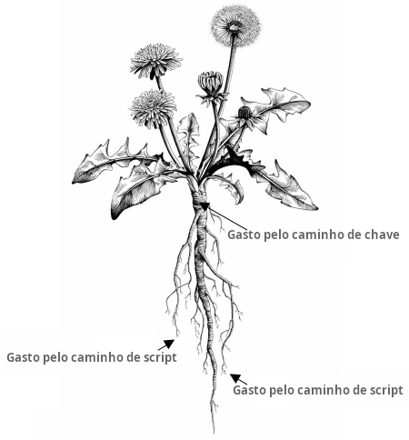 Ilustração da raiz de um dente-de-leão mostrando como a raiz pivotante principal corresponde a um gasto por caminho de chave e as raízes menores correspondem a gastos por caminho de script