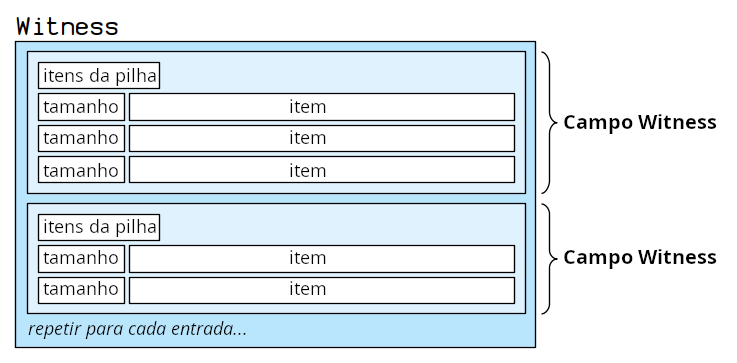 Diagrama mostrando a estrutura da testemunha em uma transação bruta.